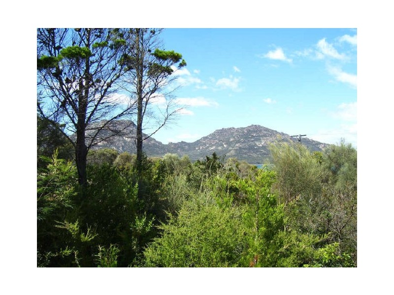 75 Harold Street, Coles Bay TAS 7215