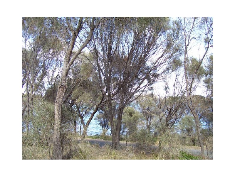 75 Harold Street, Coles Bay TAS 7215