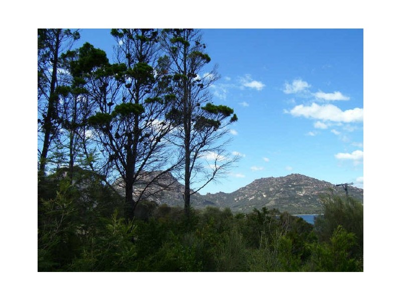 75 Harold Street, Coles Bay TAS 7215