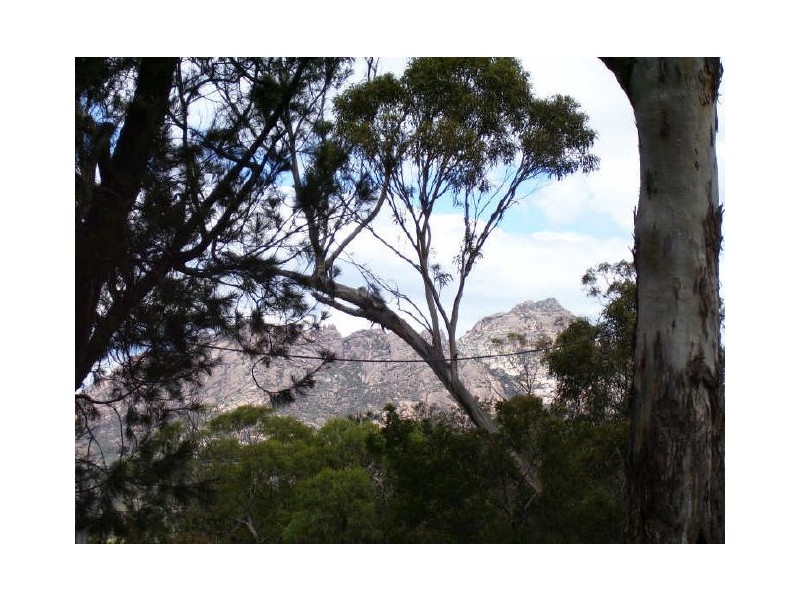 75 Harold Street, Coles Bay TAS 7215