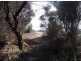 RA 277 Harveys Farm Rd, Bicheno TAS 7215