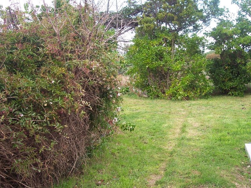 19558 Tasman Highway, Seymour TAS 7215