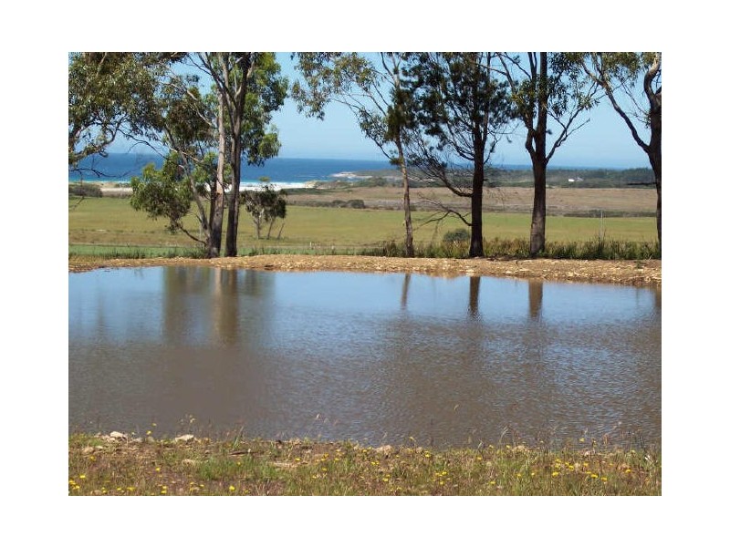 Lot1/19595 Tasman Hwy., Seymour TAS 7215