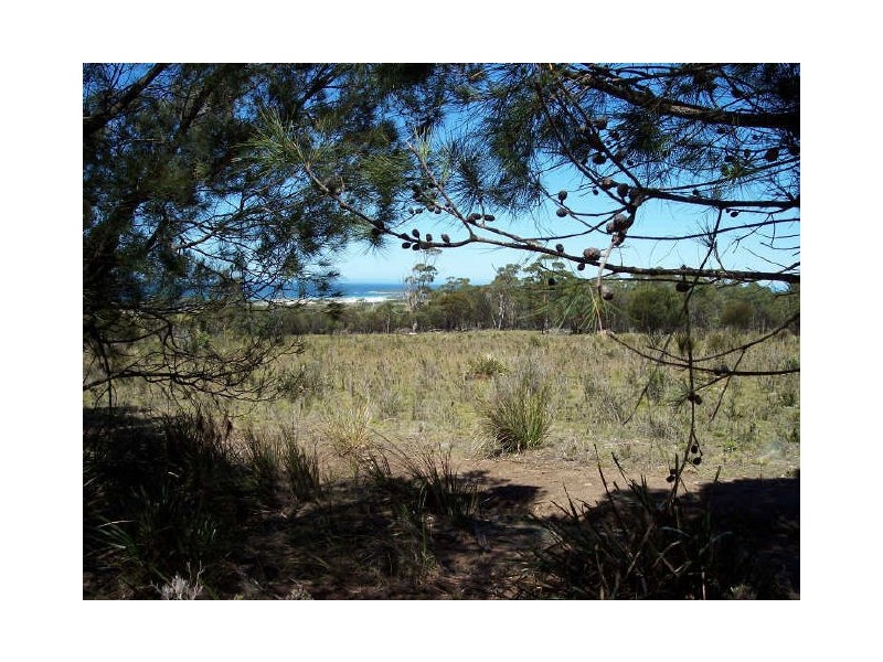 Lot1/19595 Tasman Hwy., Seymour TAS 7215