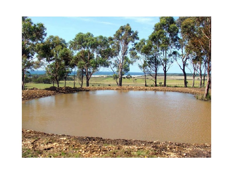 Lot1/19595 Tasman Hwy., Seymour TAS 7215