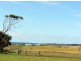 Lot1/19595 Tasman Hwy., Seymour TAS 7215