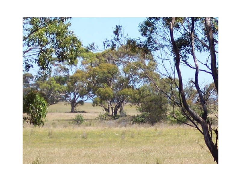 Lot1/19595 Tasman Hwy., Seymour TAS 7215