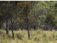 Lot1/19595 Tasman Hwy., Seymour TAS 7215