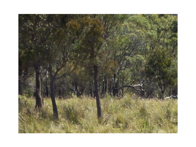 Lot1/19595 Tasman Hwy., Seymour TAS 7215