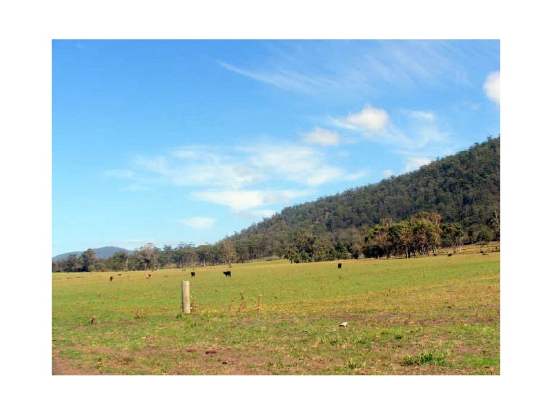 Lot1/19595 Tasman Hwy., Seymour TAS 7215