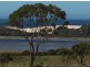 Lot1/19595 Tasman Hwy., Seymour TAS 7215