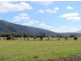 Lot1/19595 Tasman Hwy., Seymour TAS 7215