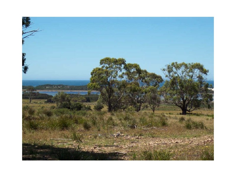 Lot1/19595 Tasman Hwy., Seymour TAS 7215