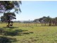 Lot1/19595 Tasman Hwy., Seymour TAS 7215