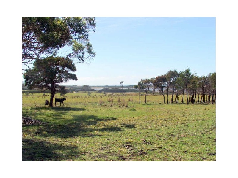 Lot1/19595 Tasman Hwy., Seymour TAS 7215