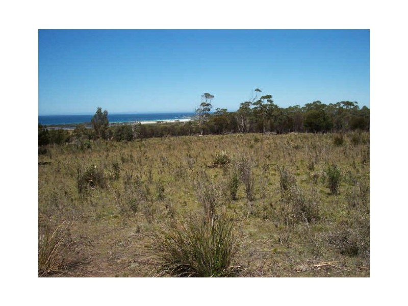 Lot1/19595 Tasman Hwy., Seymour TAS 7215