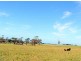 Lot1/19595 Tasman Hwy., Seymour TAS 7215