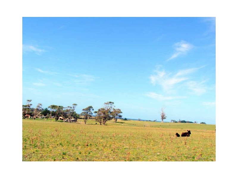 Lot1/19595 Tasman Hwy., Seymour TAS 7215