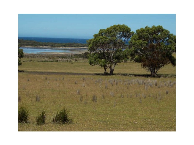 Lot1/19595 Tasman Hwy., Seymour TAS 7215