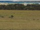 Lot1/19595 Tasman Hwy., Seymour TAS 7215