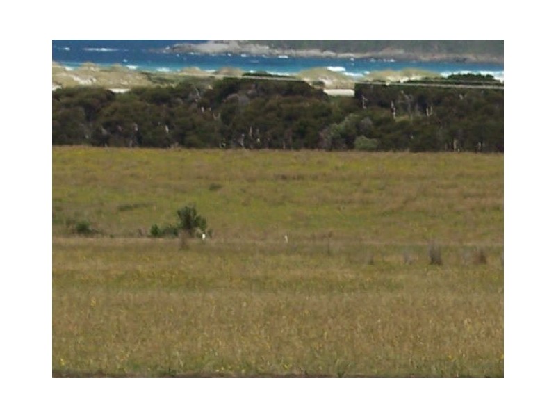Lot1/19595 Tasman Hwy., Seymour TAS 7215