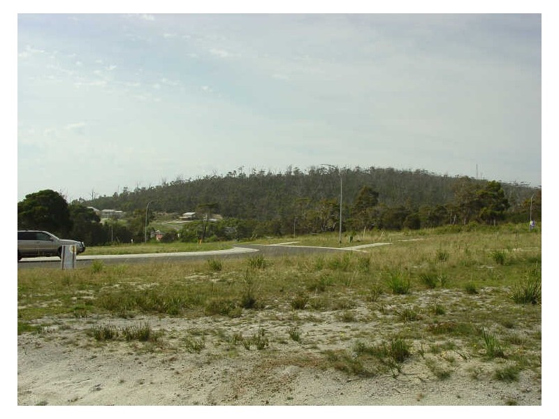 Lot 8 Diamond Island Heights, Bicheno TAS 7215