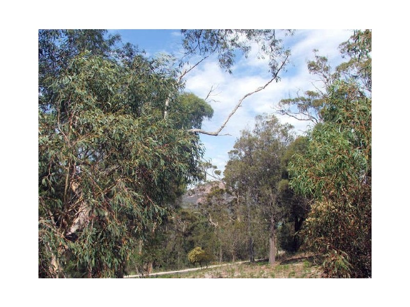 26 Bradley Dr, Coles Bay TAS 7215