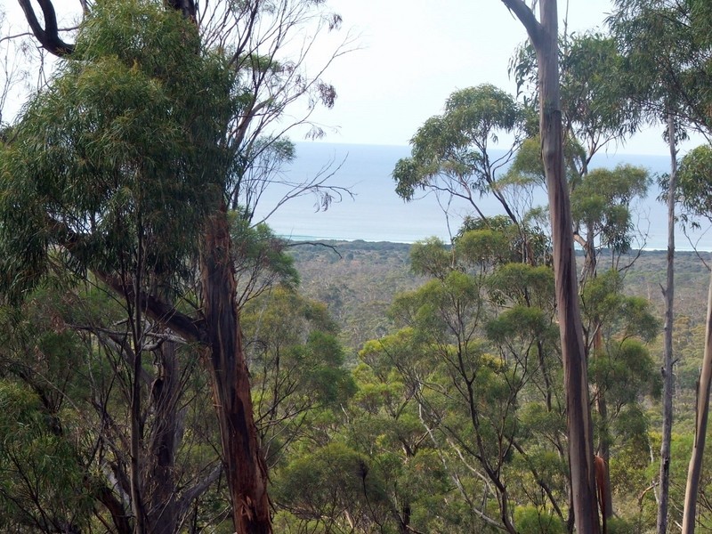 3 Barnard Drive, Bicheno TAS 7215