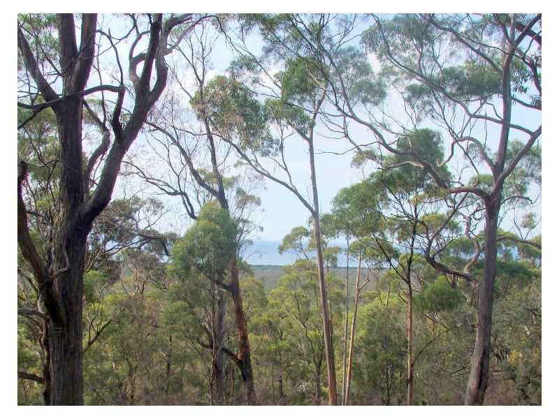 3 Barnard Drive, Bicheno TAS 7215