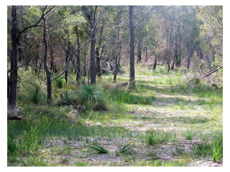 3 Barnard Drive, Bicheno TAS 7215