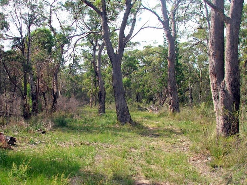 3 Barnard Drive, Bicheno TAS 7215
