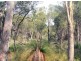3 Barnard Drive, Bicheno TAS 7215