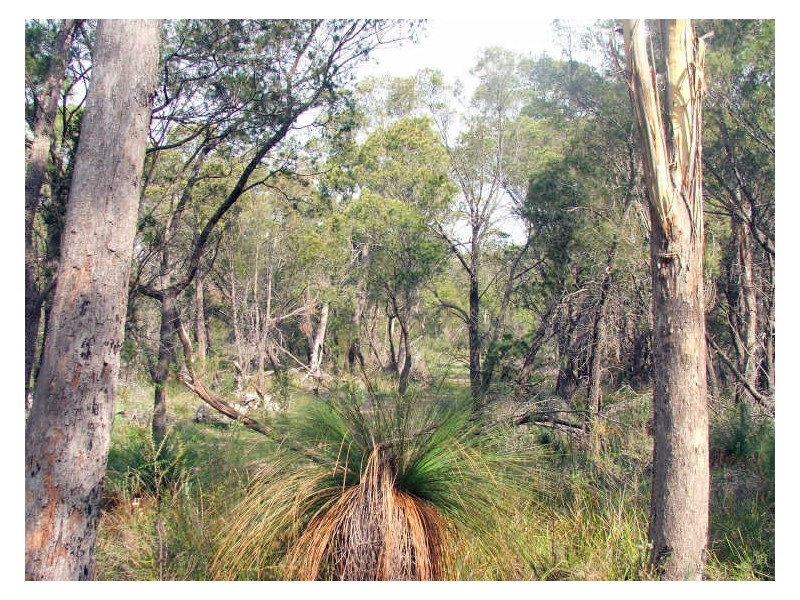 3 Barnard Drive, Bicheno TAS 7215