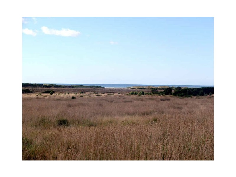 Lot 7 Macquarie St, Seymour TAS 7215