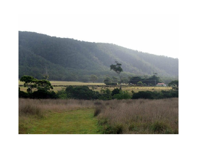 Lot 7 Macquarie St, Seymour TAS 7215