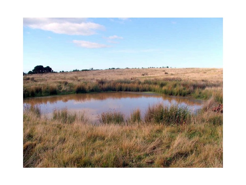 Lot 7 Macquarie St, Seymour TAS 7215