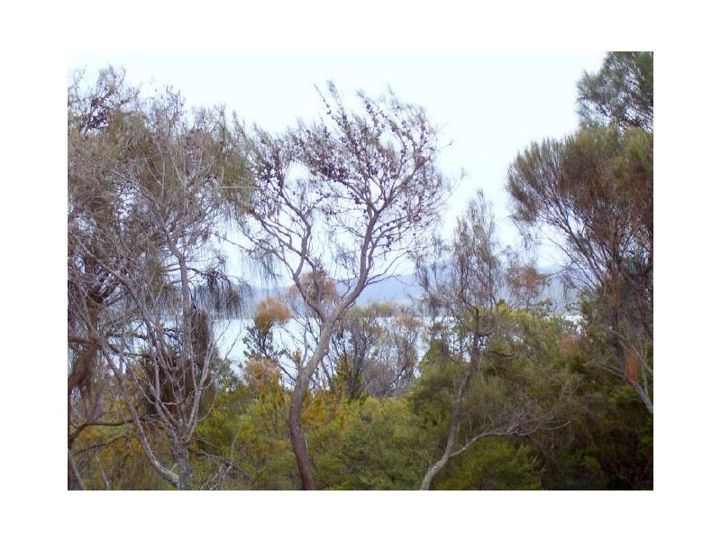 31 Freycinet Drive, Coles Bay TAS 7215