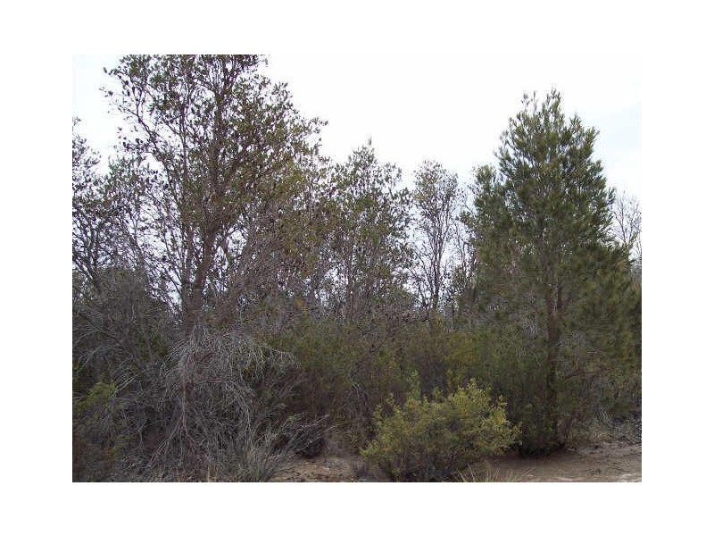 Lot 82 Dolphin Sands Rd, Dolphin Sands TAS 7190