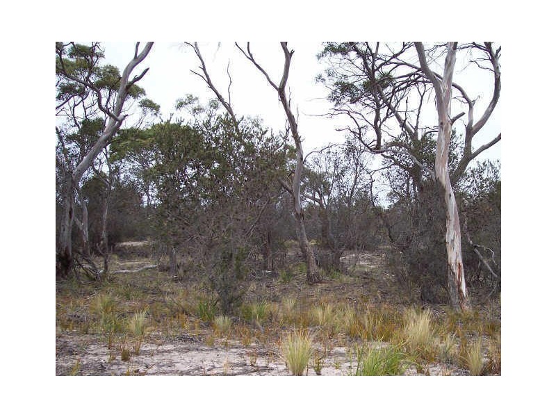 Lot 82 Dolphin Sands Rd, Dolphin Sands TAS 7190