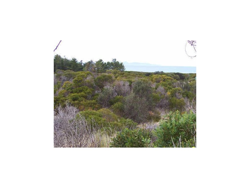Lot 82 Dolphin Sands Rd, Dolphin Sands TAS 7190