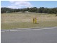 184 Hazards View Drive, Coles Bay TAS 7215