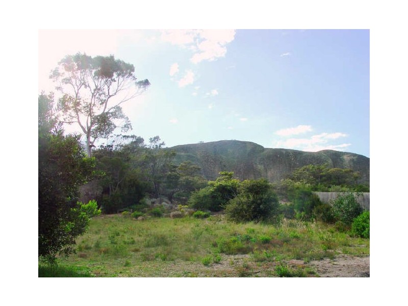 39 Burgess St, Bicheno TAS 7215