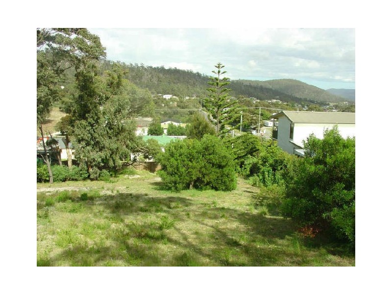 39 Burgess St, Bicheno TAS 7215