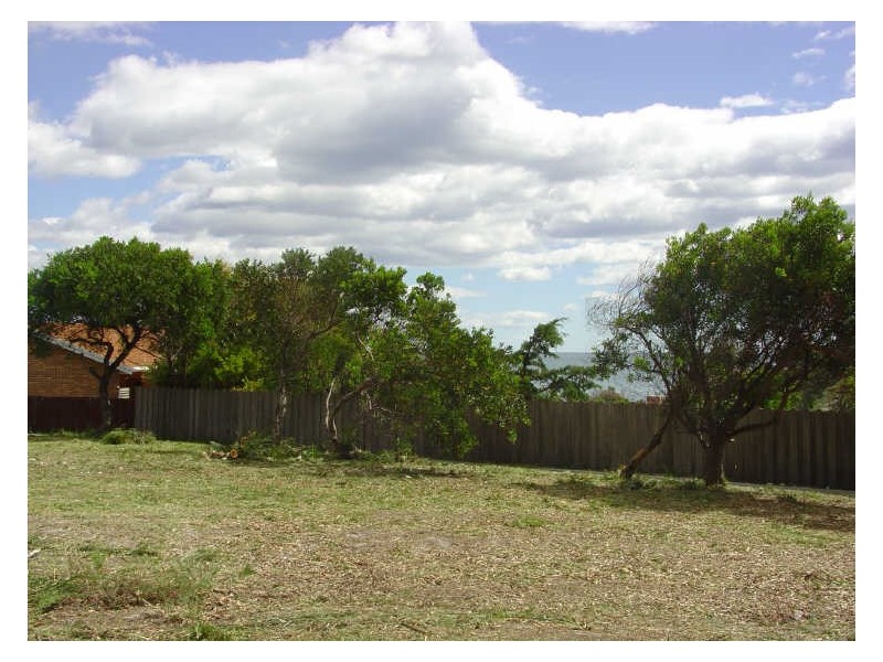 6 Waubs Court, Bicheno TAS 7215