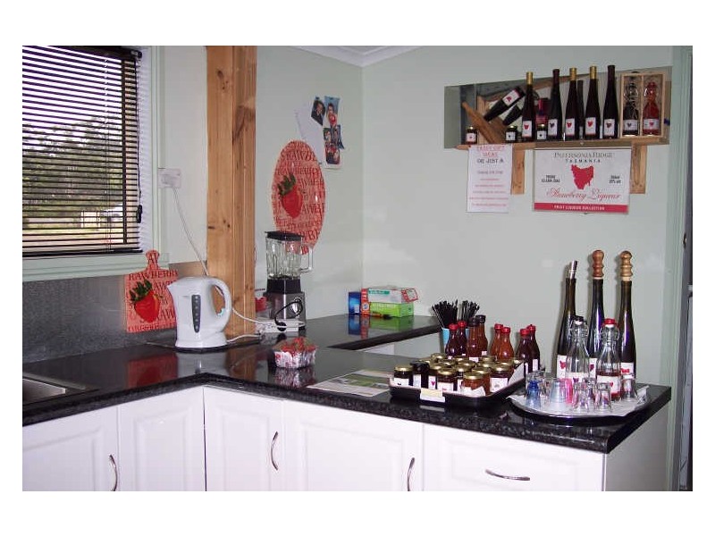 16494 Tasman Hwy, Bicheno TAS 7215
