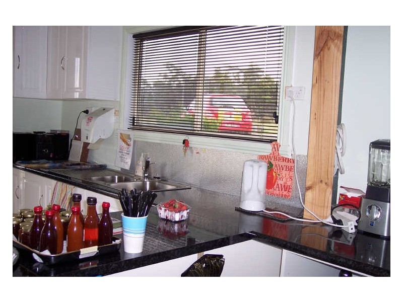 16494 Tasman Hwy, Bicheno TAS 7215