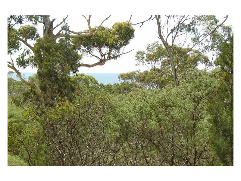 231 Harveys Farm Road, Bicheno TAS 7215