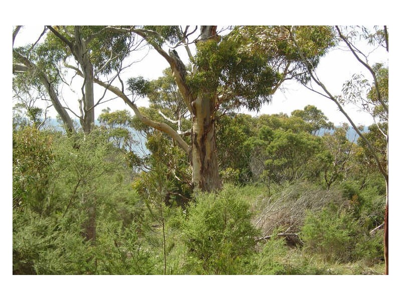 231 Harveys Farm Road, Bicheno TAS 7215