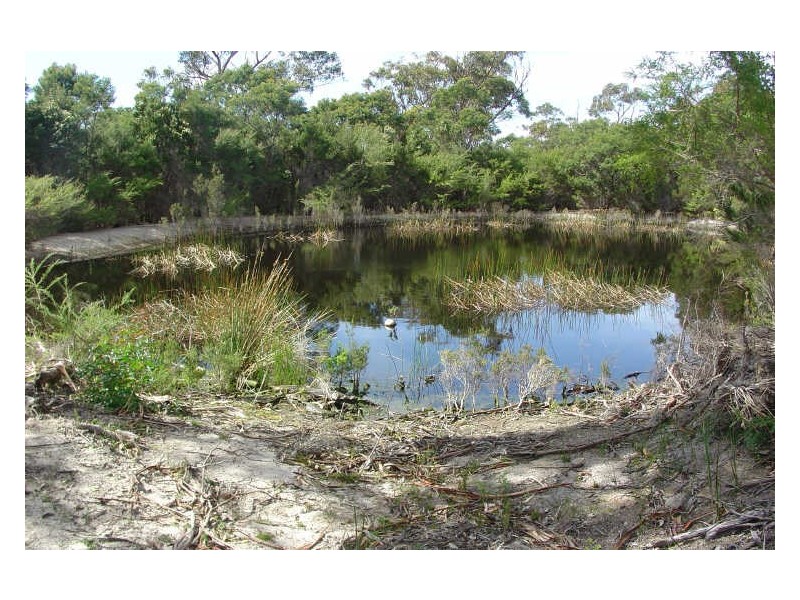 231 Harveys Farm Road, Bicheno TAS 7215