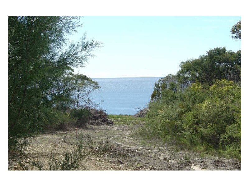 231 Harveys Farm Road, Bicheno TAS 7215